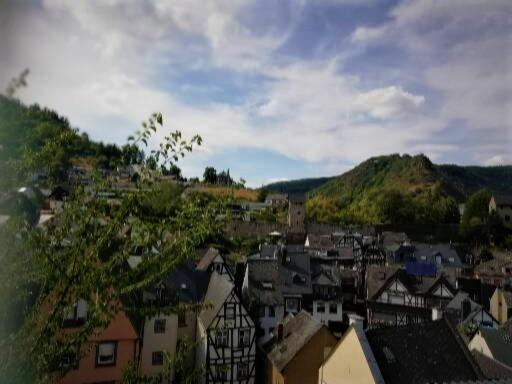 Zum Froehlichen Weinberg Hotel Cochem Exterior photo